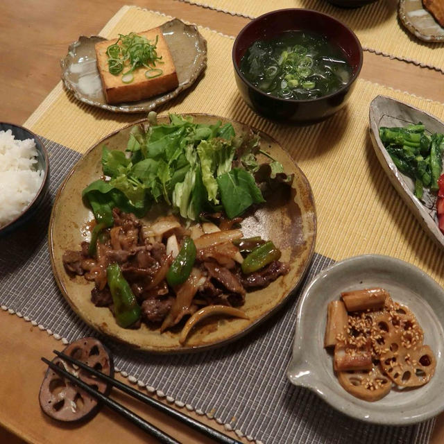 牛焼肉炒めの晩ご飯　と　ヨウムの”ヨウスケ”「そだね～♪」