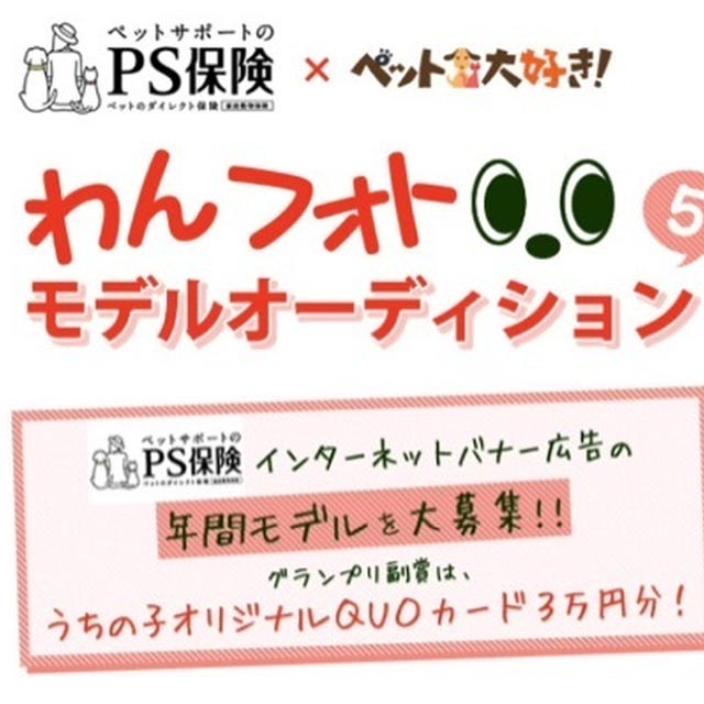 わんフォト モデルオーディション