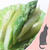 爽やかお野菜おかず＊アスパラレモン