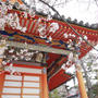 今日の桜3/29-中山寺-