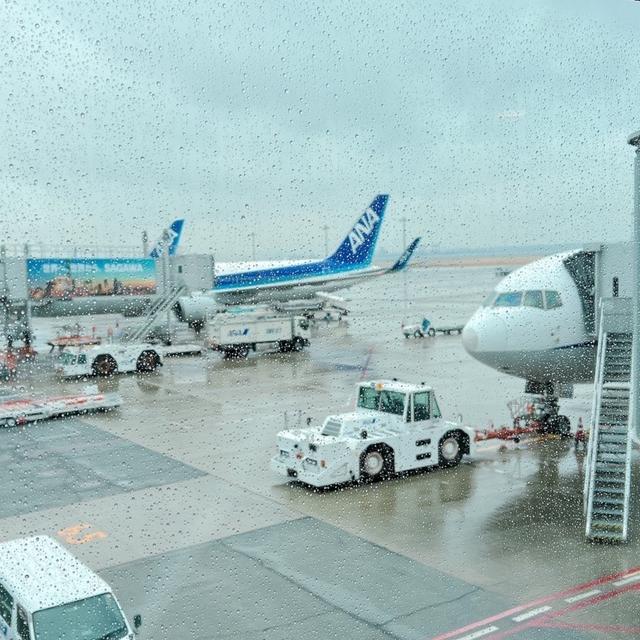 陸マイラー マイル旅。〜波乱の幕開け〜