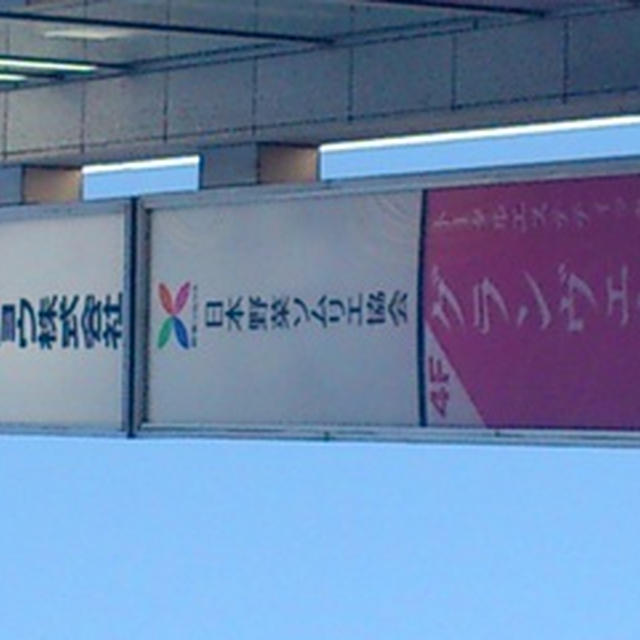 ジュニア野菜ソムリエ試験