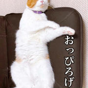 手巻き寿司が初めてだった親子の食卓