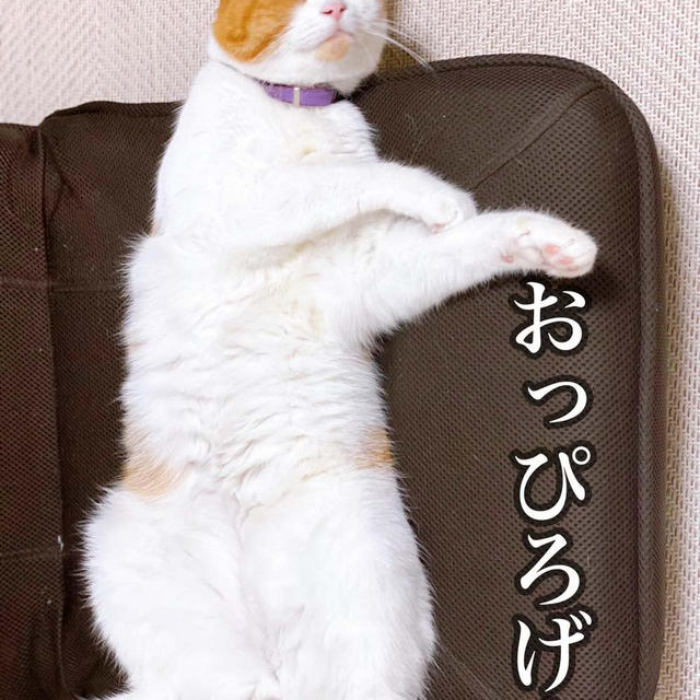 手巻き寿司が初めてだった親子の食卓