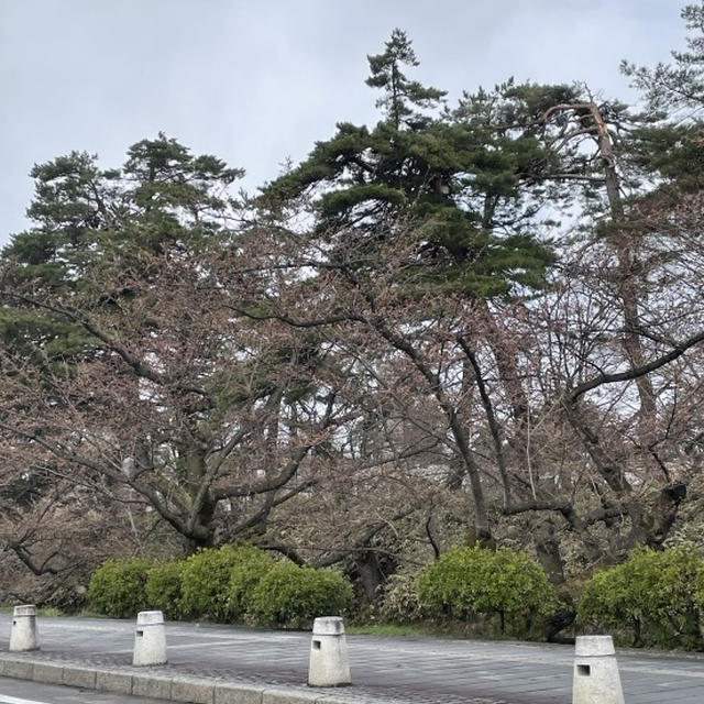 母と温泉宿でリトリート