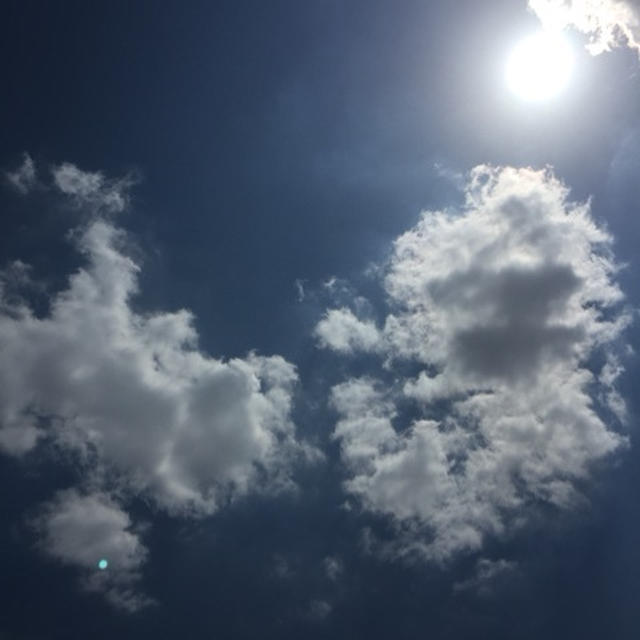 元気な空と息子の優しさ