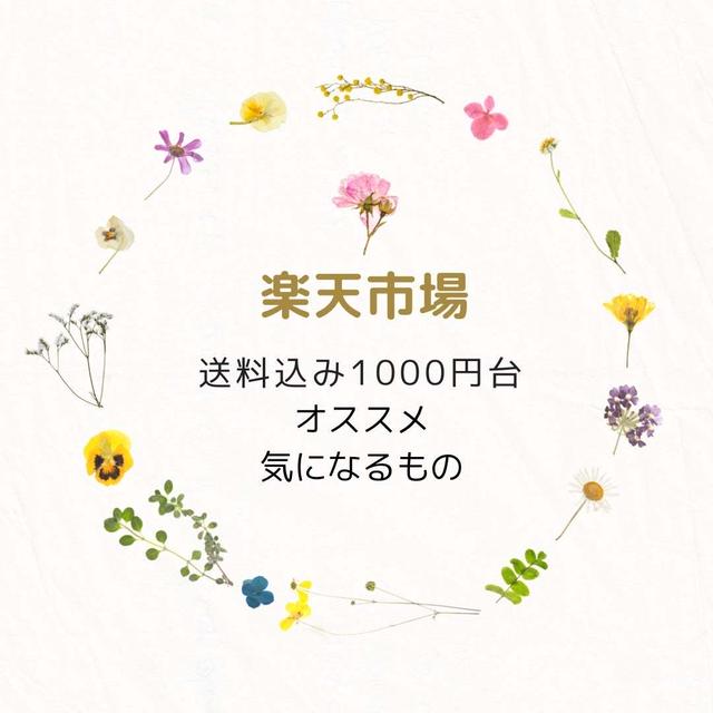 楽天SS 買い周りオススメ　送料込み1000円台