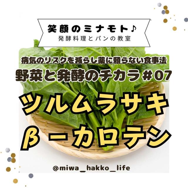 【ツルムラサキ】畑は健康の宝島です。