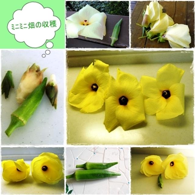 塩豆腐と大根のサラダ