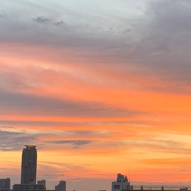 昨日の夕焼け　溜め息が出るほど美しかったです