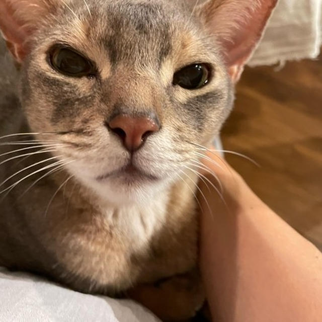 スウィーツよりスウィートなぼくちん♡見てもらえます？