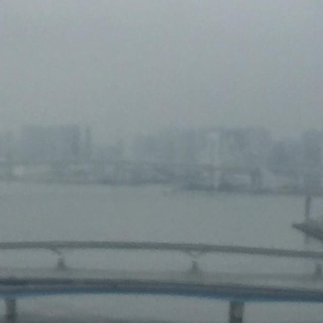 もう、雨はいいや、、