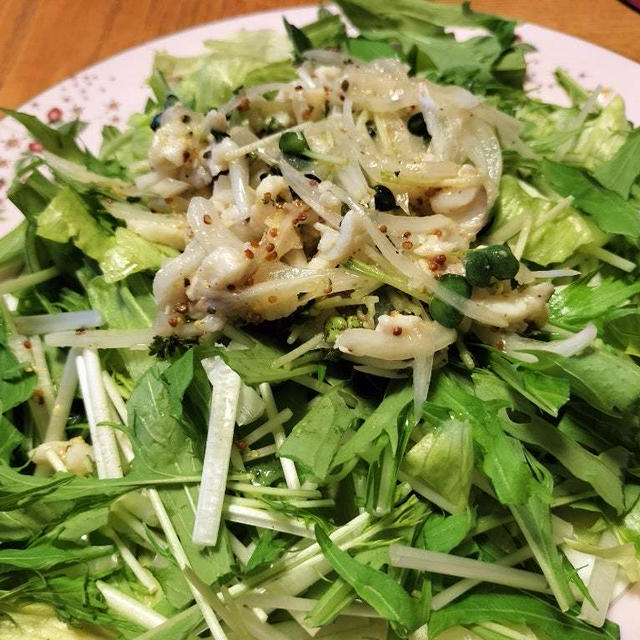 真鯛と玉ねぎ、かいわれのマリネサラダ