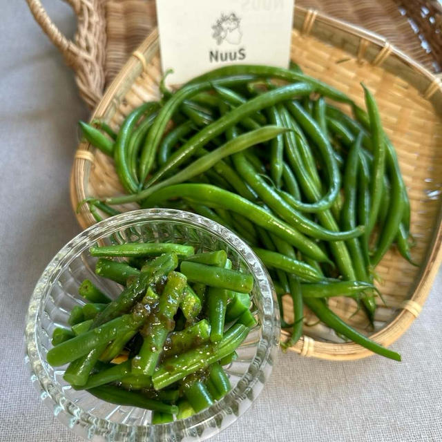 このどこが難あり？美味しく食べてSDGs!つるなしインゲン
