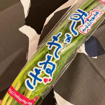 おしゃれなねぎ