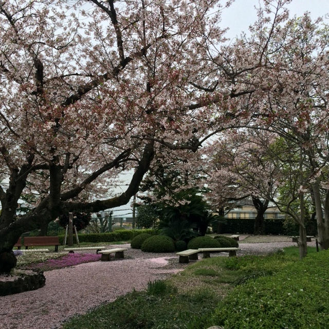 ハレの入学式