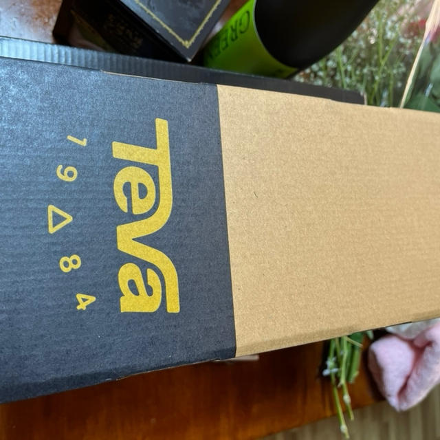 【コストコ】TEVAのサンダルを買ってみた