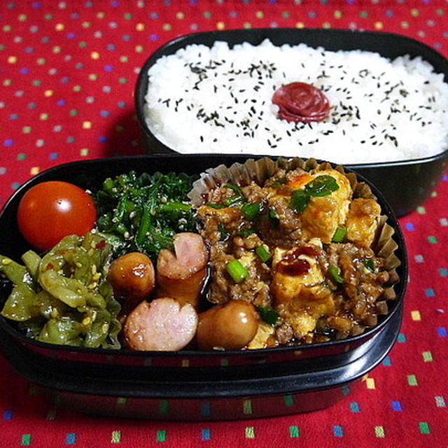 【お弁当】麻婆厚揚げ弁当