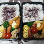 シーフードフライ弁当
