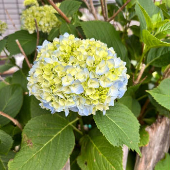 悲しくてたまらない季節。