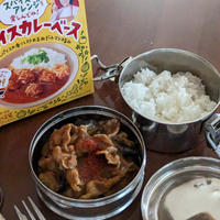 大好きカリー子さんのスパイスカレーベースを試したよ