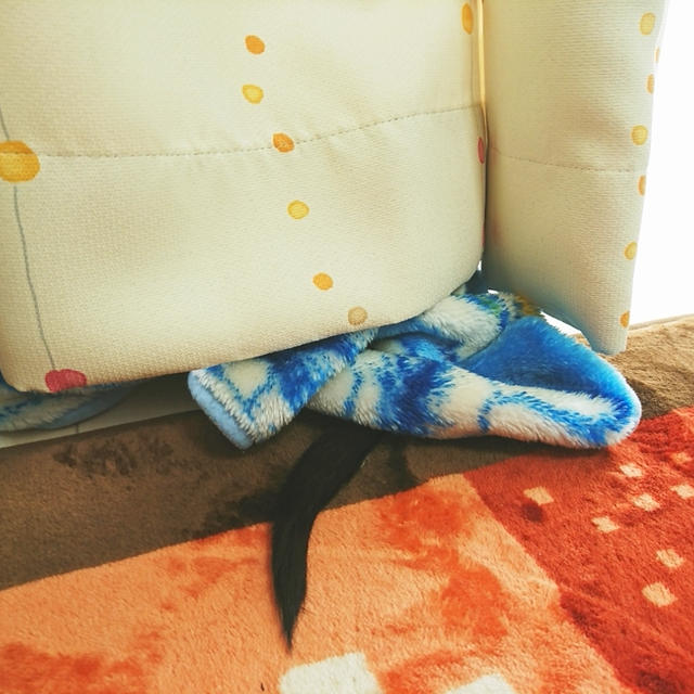 ＊ここにいるぜぇ！＊