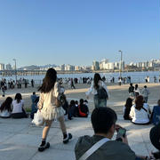韓国で穴子のお刺身を食べたあと、春の漢江公園を散歩