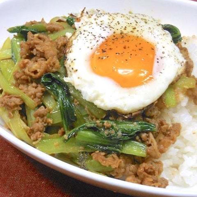 サッと炒めて簡単〜がっつりご飯！牛肉と小松菜のコチュジャン炒めとろとろ卵のっけ。