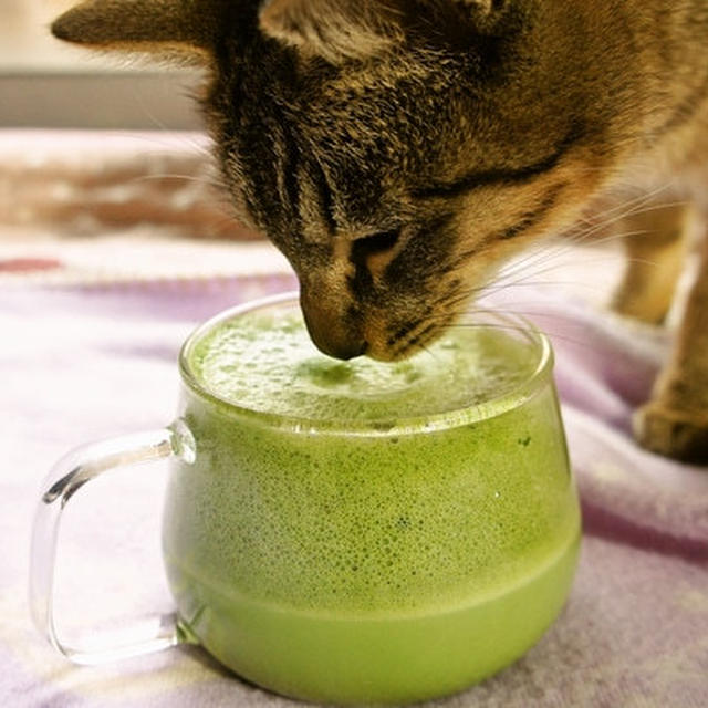 雨の憂鬱気分を取り除いてくれた抹茶ラテでうちカフェ