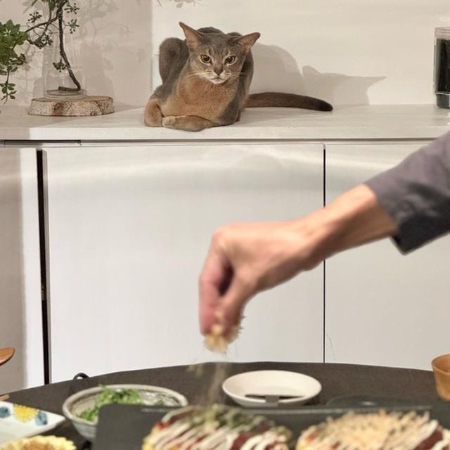 山芋たっぷりお好み焼きの夜ごはんと見張り坊