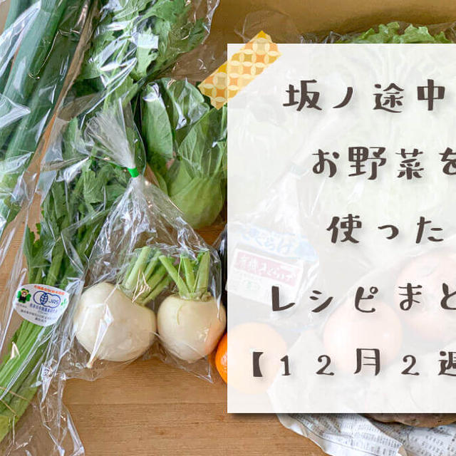 坂ノ途中の野菜を使ったレシピまとめ【12月2週目】