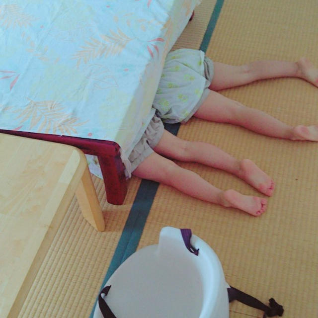 まん丸ちゃんの夏休みは兄貴たちと！①