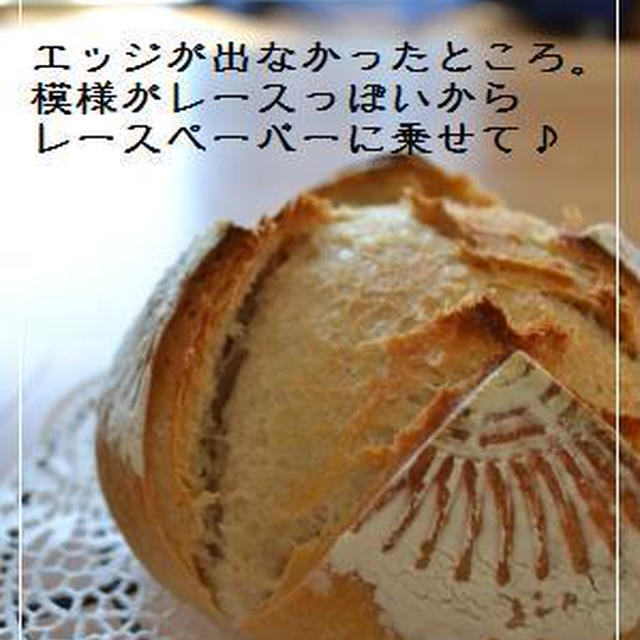 カンパが得意！？(笑)＠Ｇレーズン酵母