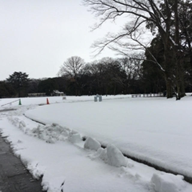 雪の中の群馬の森