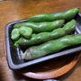 木更津の天豆も美味しい季節に！