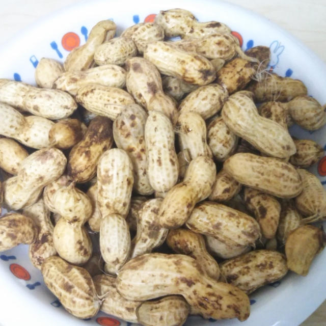 大量にある落花生を茹でてみた