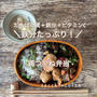 鉄分たっぷり！鶏つくね弁当（たんぱく質+鉄+ビタミンC）