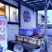 何を釣っても本命！テンマキ船 鹿島 植田丸
