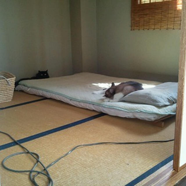 秋ですねぇ