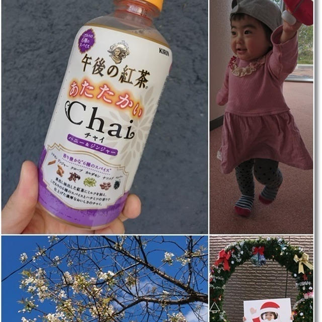 ハニージンジャーチャイとpinoの和栗♪そして昨日も公園のハシゴ…