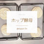 自家製ホップ酵母パンレッスン３日目、クープの練習、みんなの心の準備♪