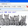 超かわいい iGoogle Kittens(子猫）テーマ