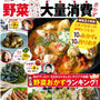 ムック本「保存版 レシピブログで人気の野菜大量消費おかず」好評発売中！