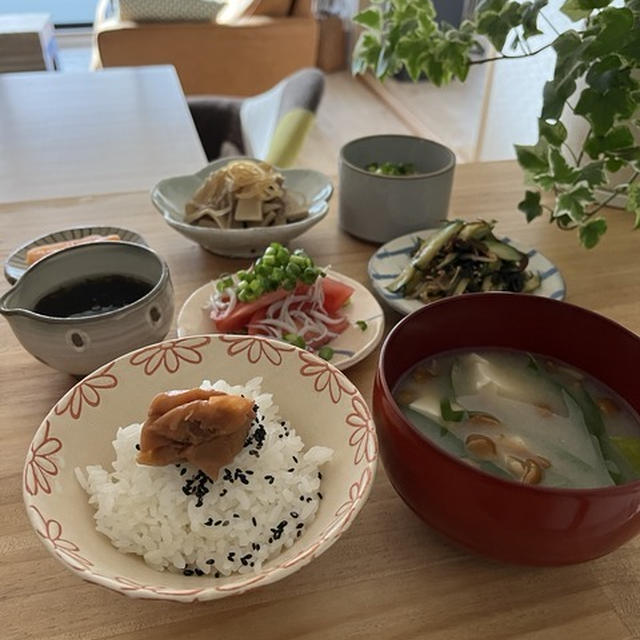 新しいオーブンレンジと携帯文字