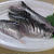 イワシの刺身