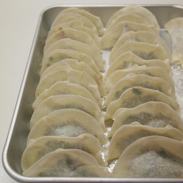 餃子を作って