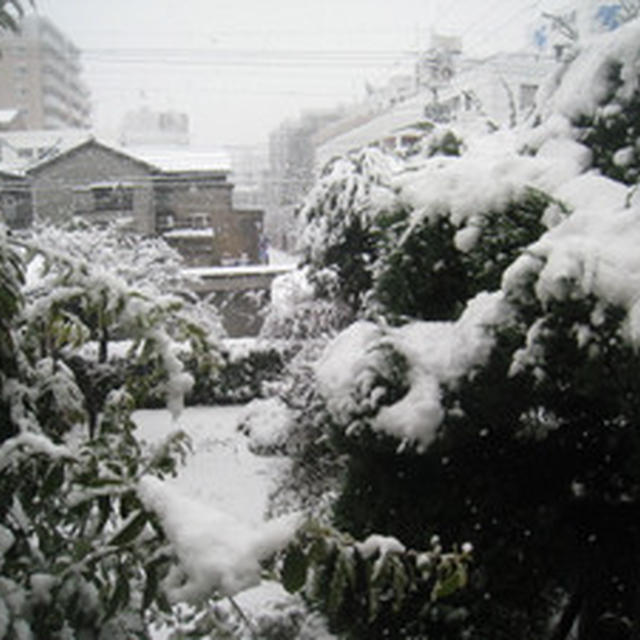 初雪