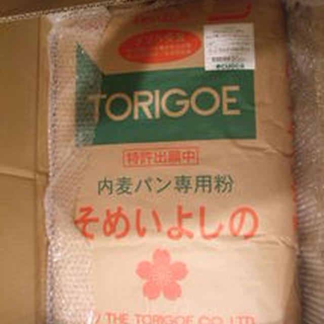 そめいよしの、25kg！！