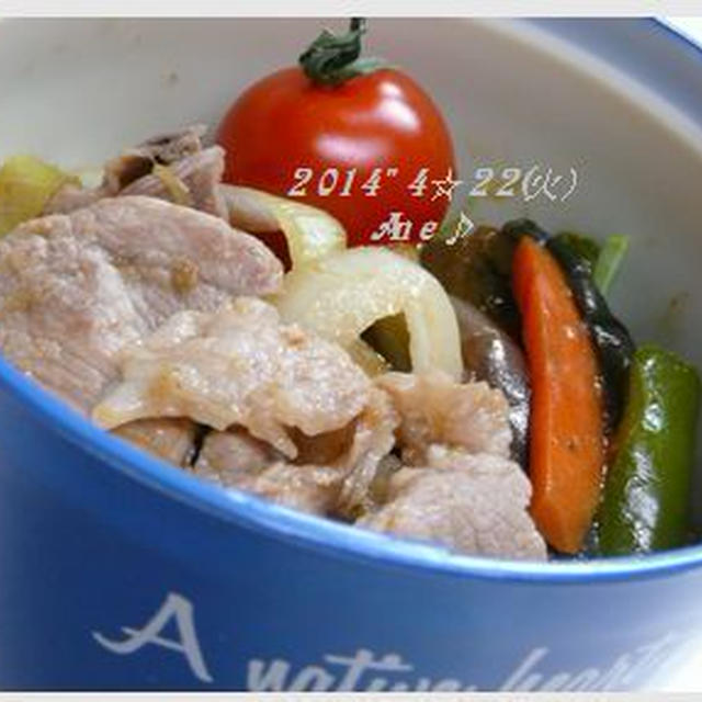 生姜焼き＆麻婆茄子～Danさんお弁当♪