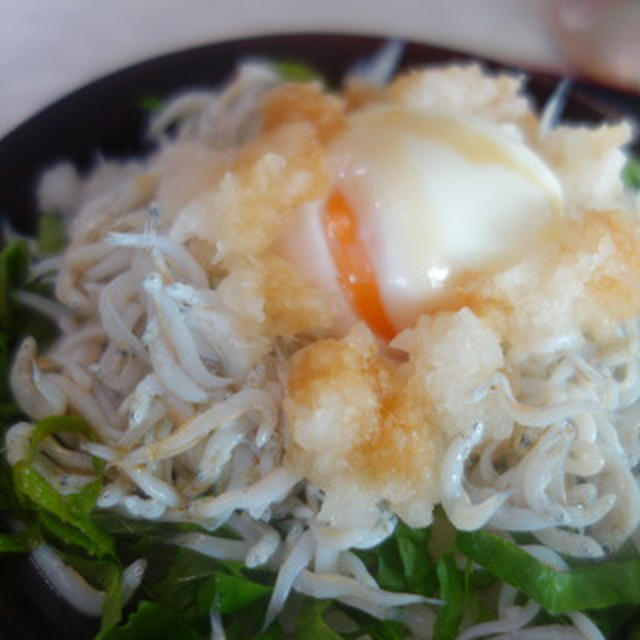 釜揚げしらす丼　